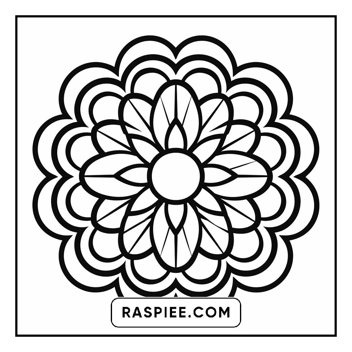 134 Bold and Easy Mandala Coloring Pages