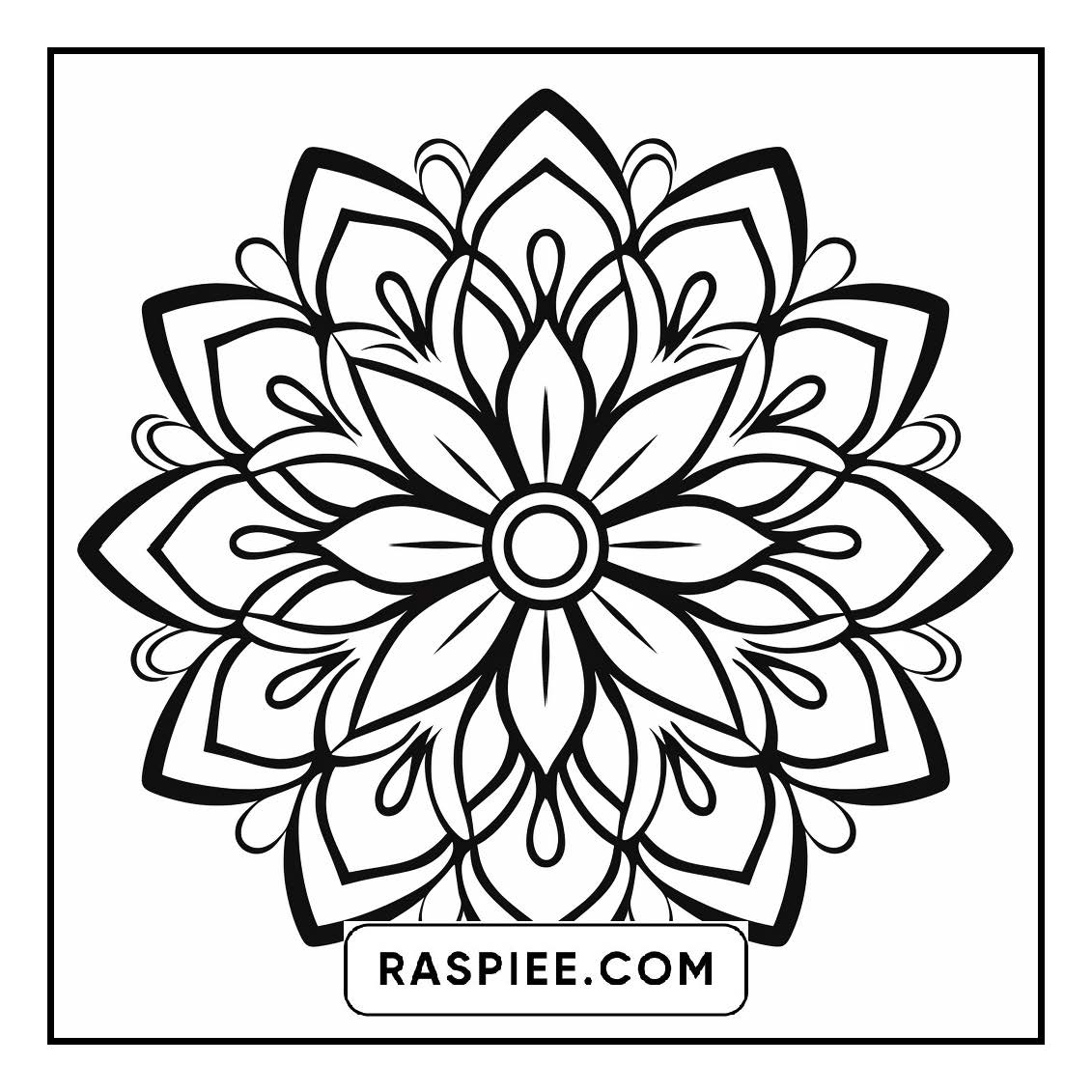 134 Bold and Easy Mandala Coloring Pages