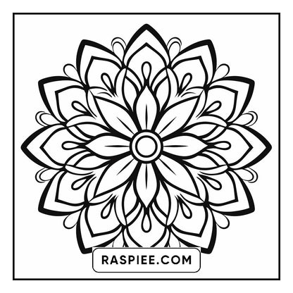 134 Bold and Easy Mandala Coloring Pages