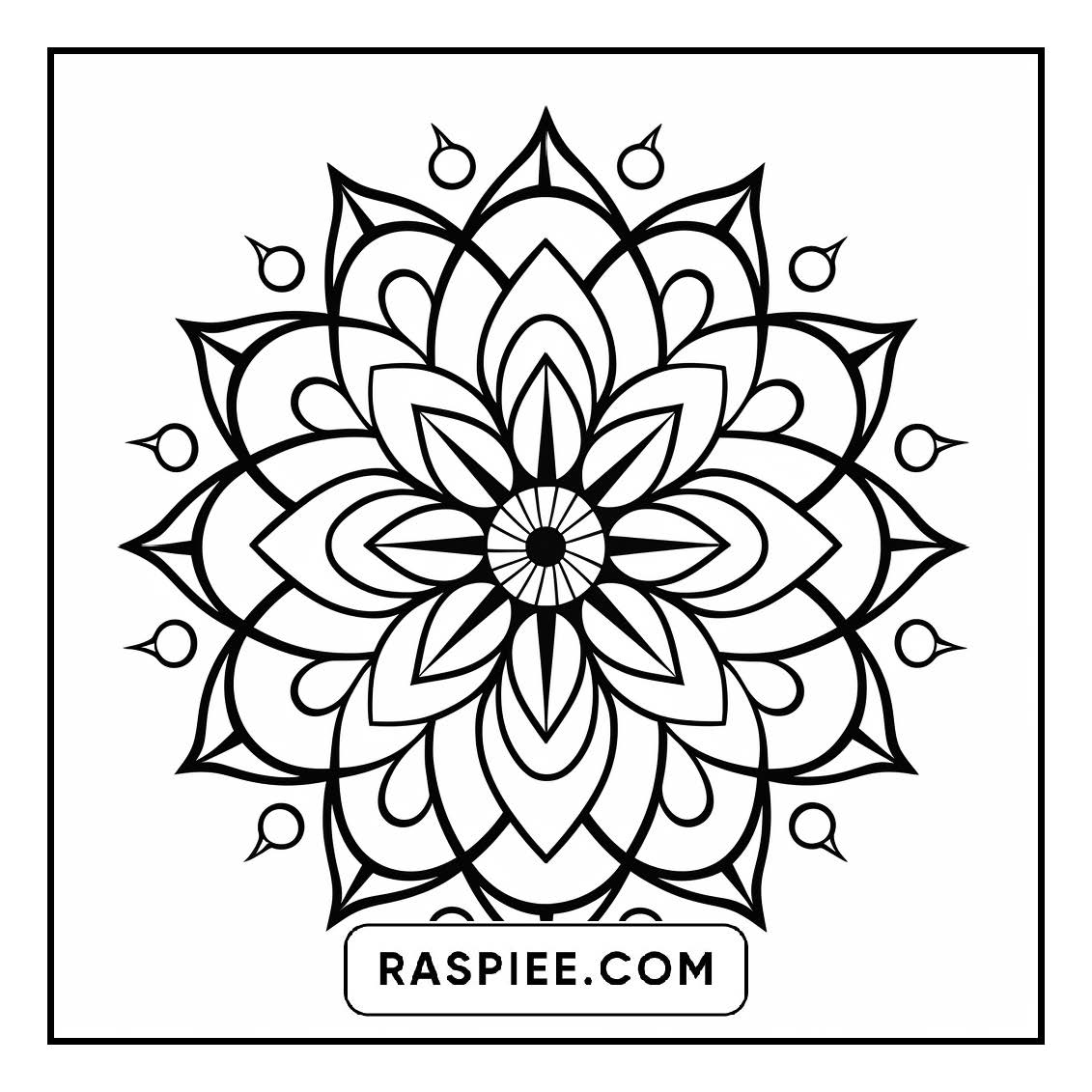 134 Bold and Easy Mandala Coloring Pages