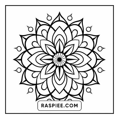 134 Bold and Easy Mandala Coloring Pages