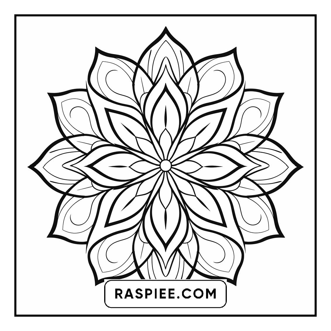 134 Bold and Easy Mandala Coloring Pages