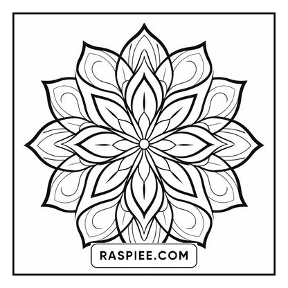 134 Bold and Easy Mandala Coloring Pages