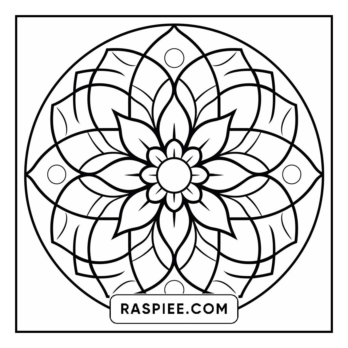 134 Bold and Easy Mandala Coloring Pages