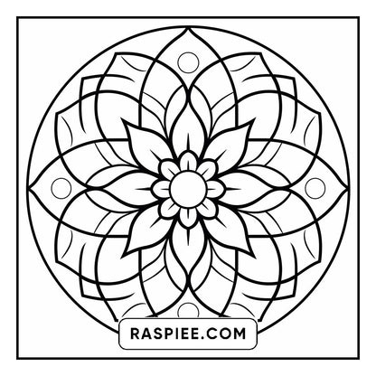 134 Bold and Easy Mandala Coloring Pages