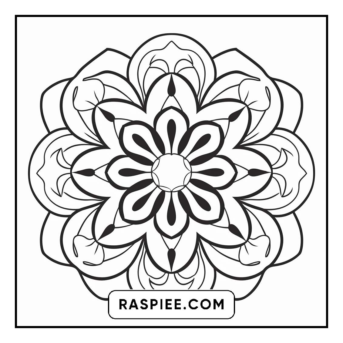 134 Bold and Easy Mandala Coloring Pages