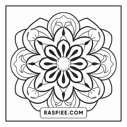 134 Bold and Easy Mandala Coloring Pages