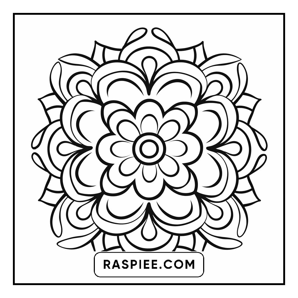134 Bold and Easy Mandala Coloring Pages