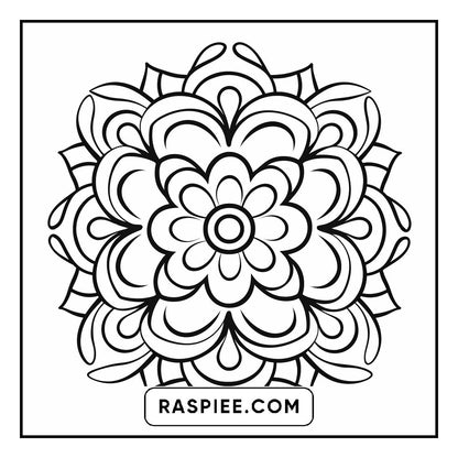 134 Bold and Easy Mandala Coloring Pages