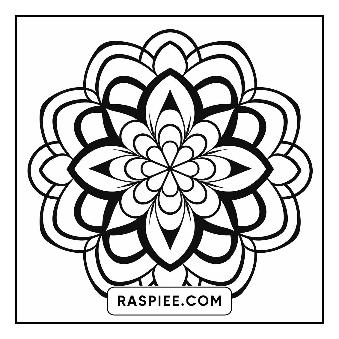 134 Bold and Easy Mandala Coloring Pages