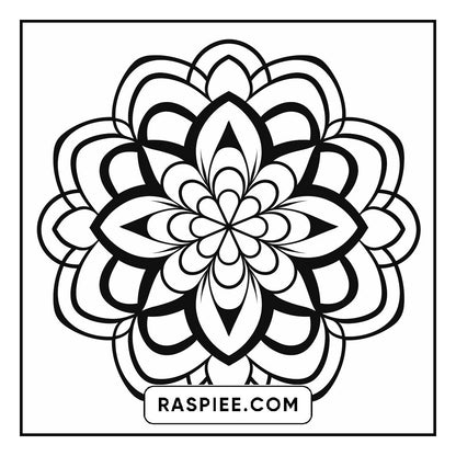 134 Bold and Easy Mandala Coloring Pages