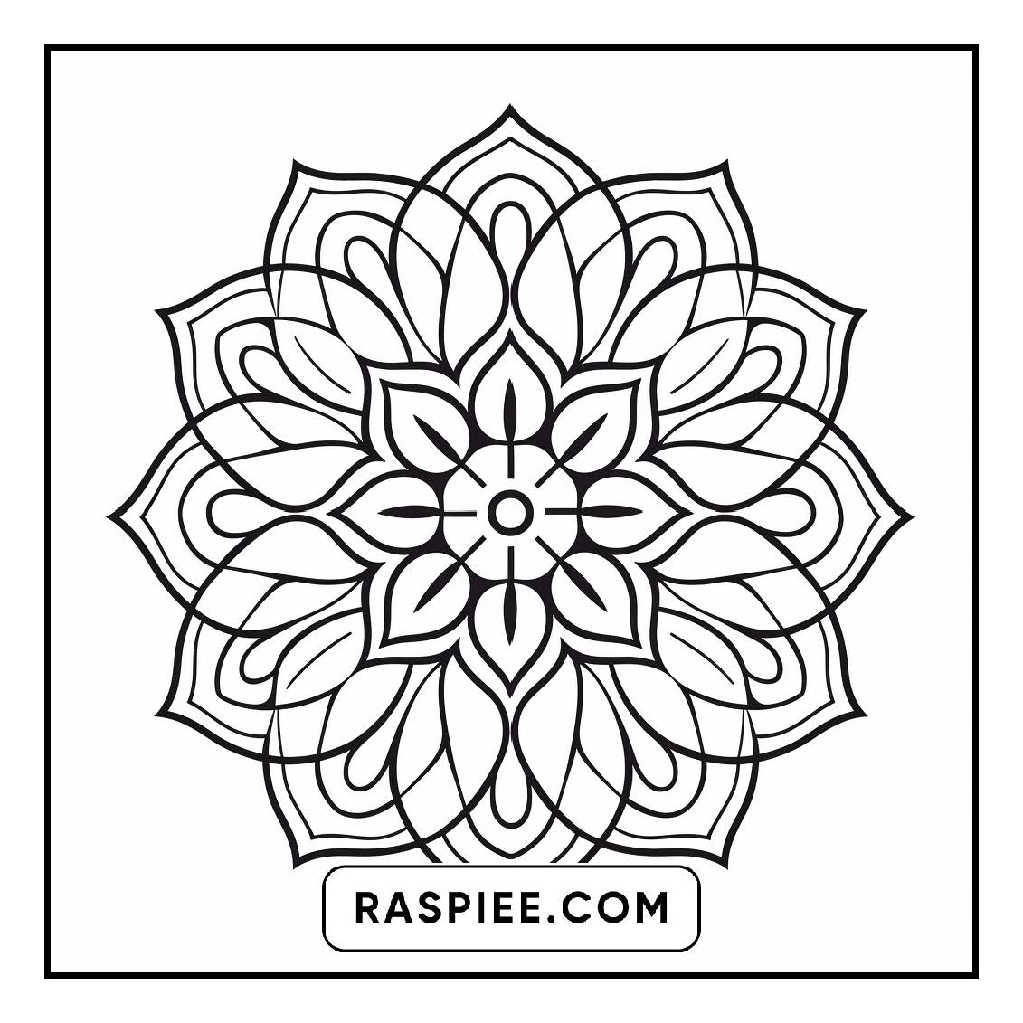 134 Bold and Easy Mandala Coloring Pages