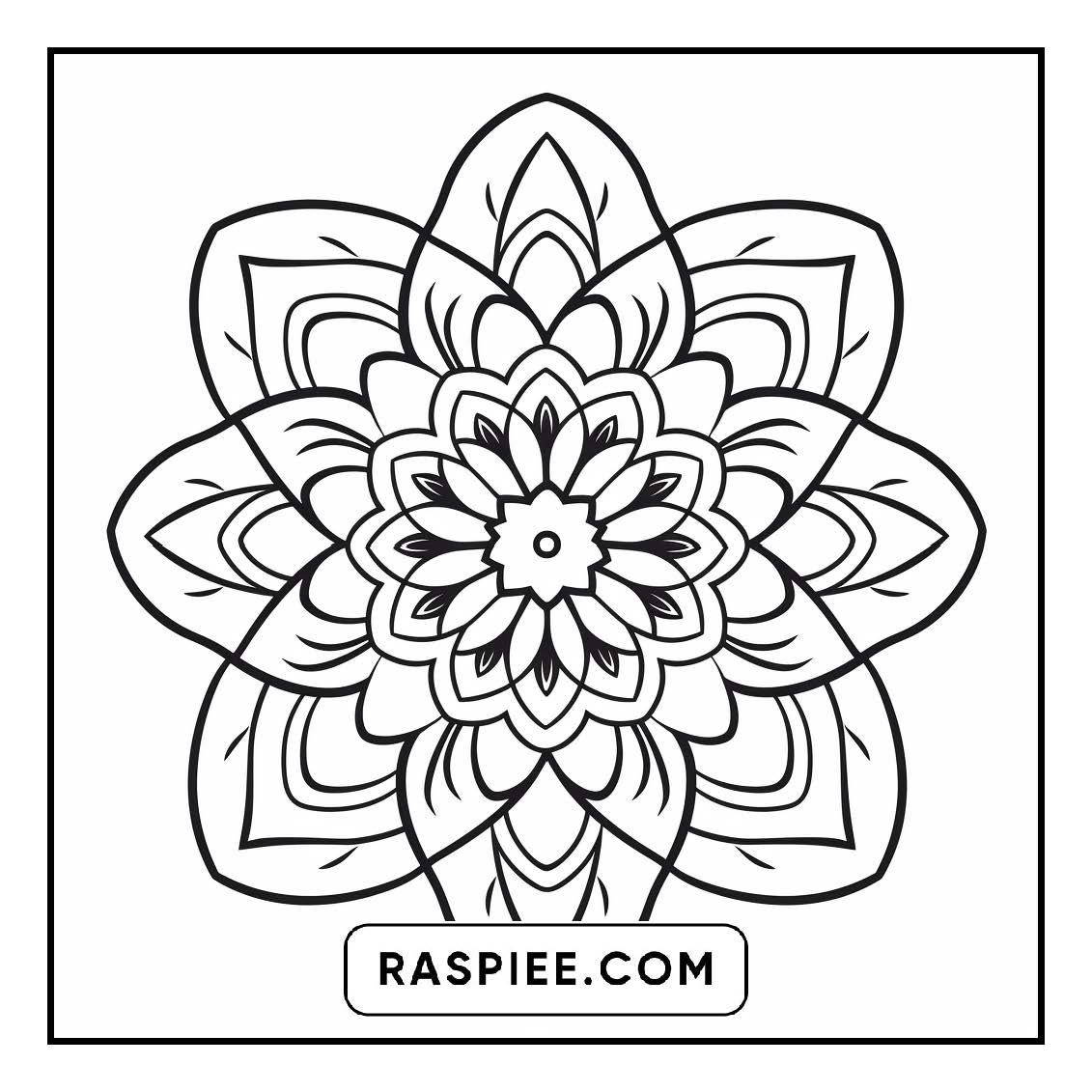 134 Bold and Easy Mandala Coloring Pages