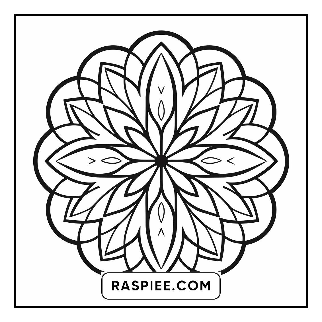 134 Bold and Easy Mandala Coloring Pages