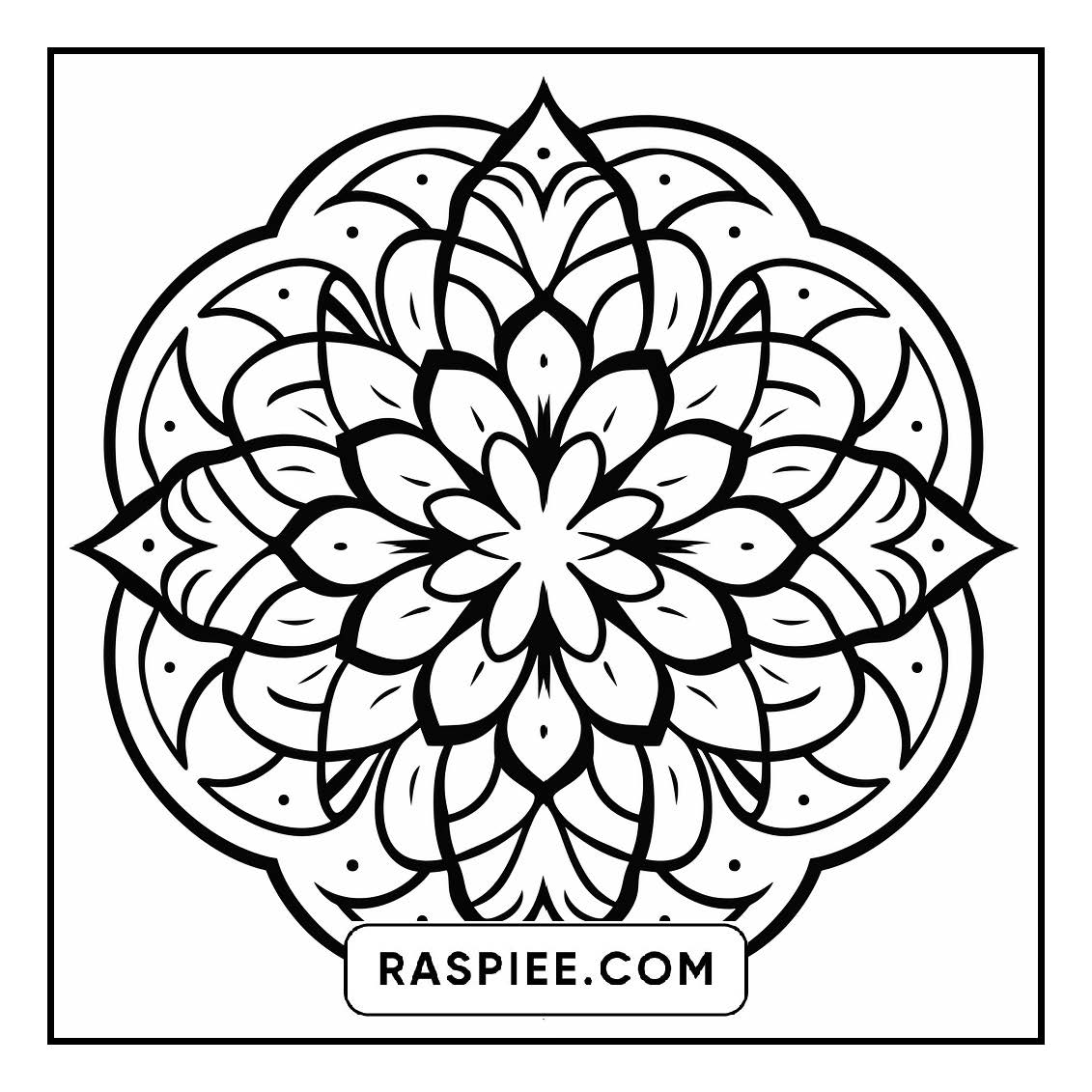 134 Bold and Easy Mandala Coloring Pages