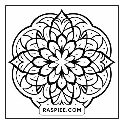 134 Bold and Easy Mandala Coloring Pages