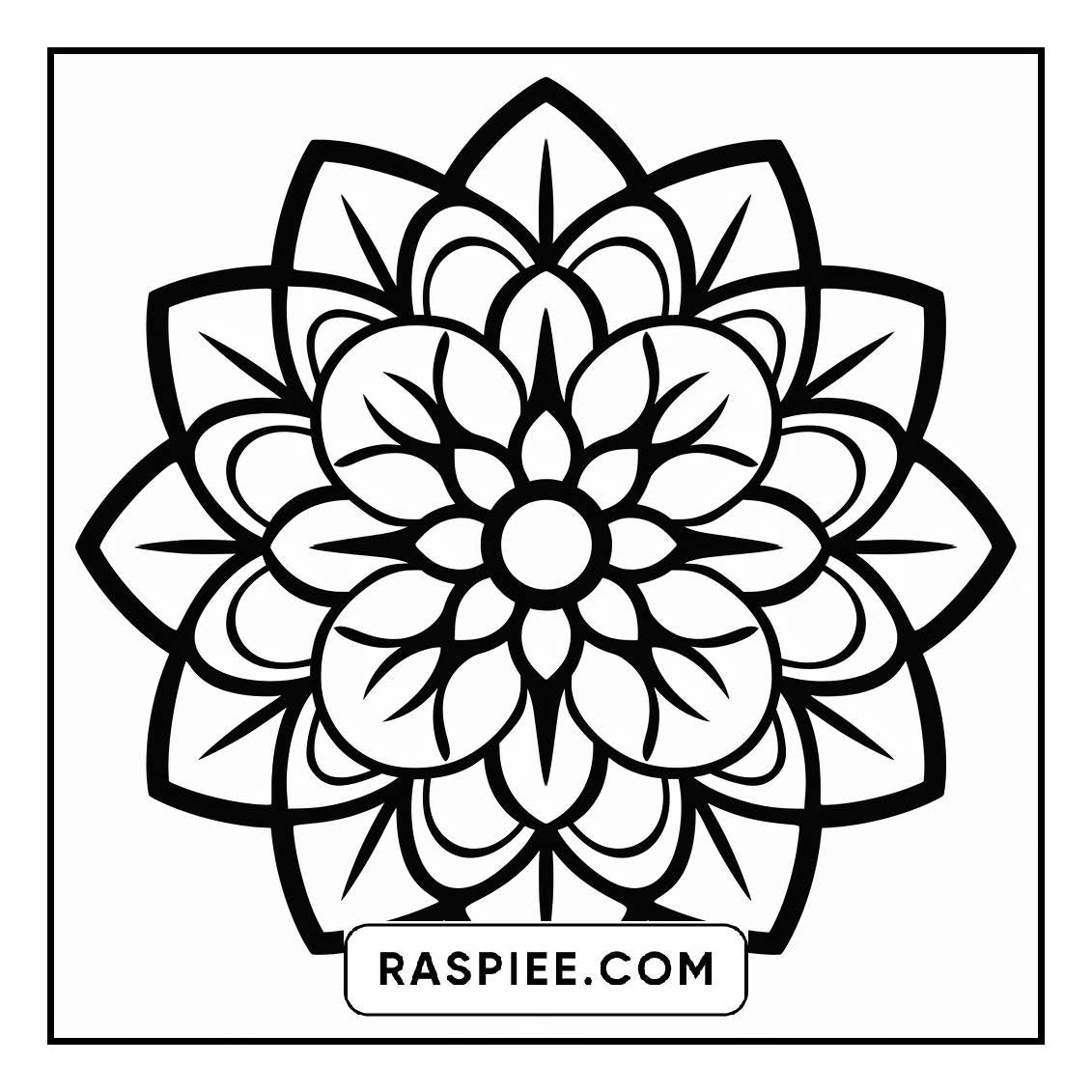 134 Bold and Easy Mandala Coloring Pages