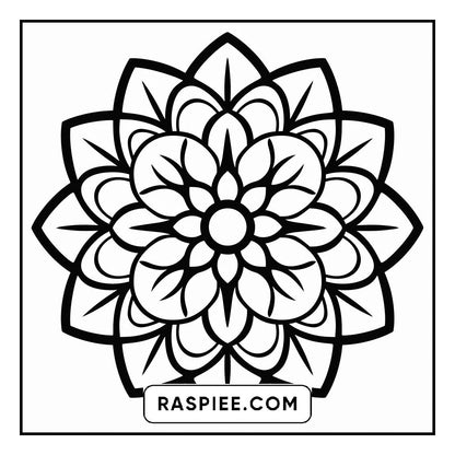 134 Bold and Easy Mandala Coloring Pages