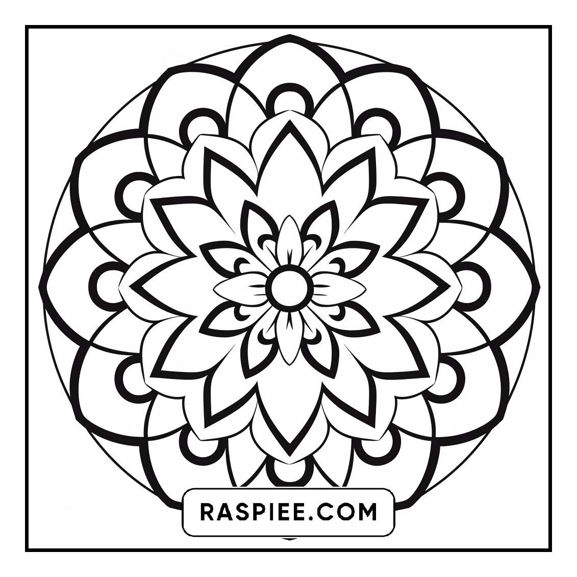 134 Bold and Easy Mandala Coloring Pages