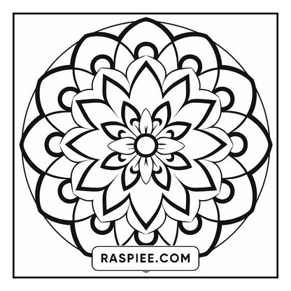 134 Bold and Easy Mandala Coloring Pages