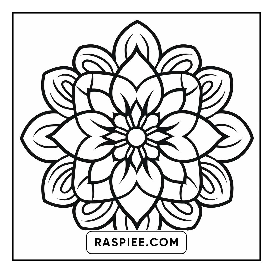 134 Bold and Easy Mandala Coloring Pages