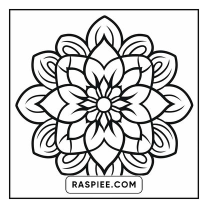 134 Bold and Easy Mandala Coloring Pages