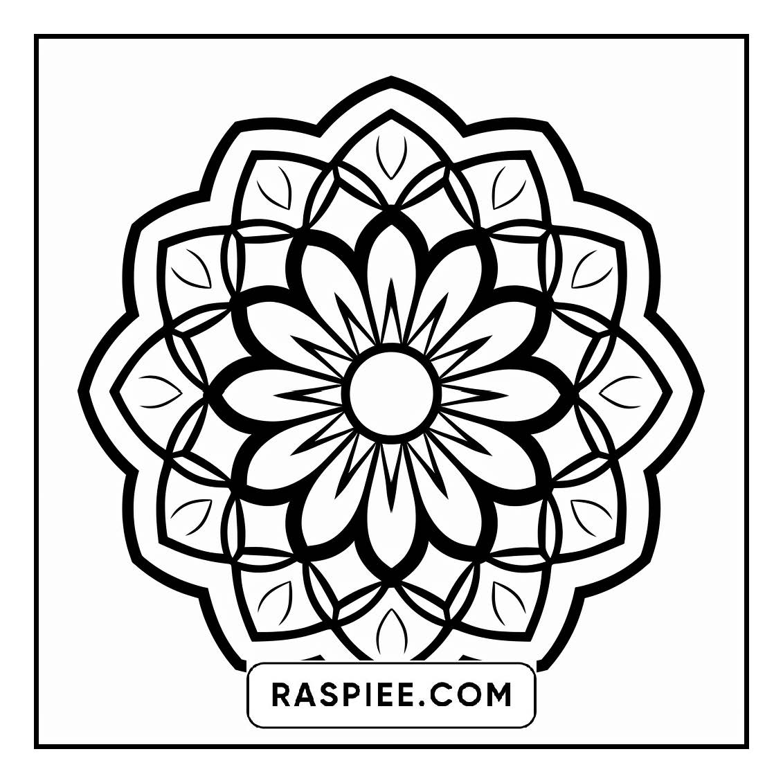 134 Bold and Easy Mandala Coloring Pages