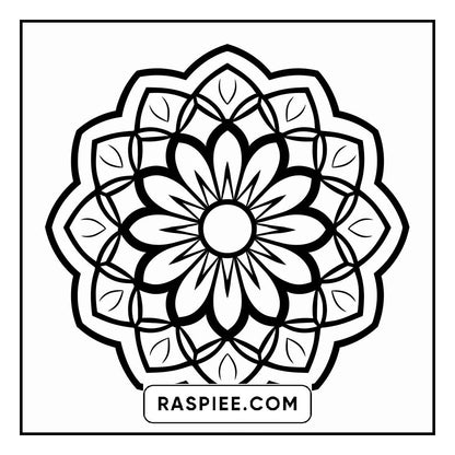 134 Bold and Easy Mandala Coloring Pages
