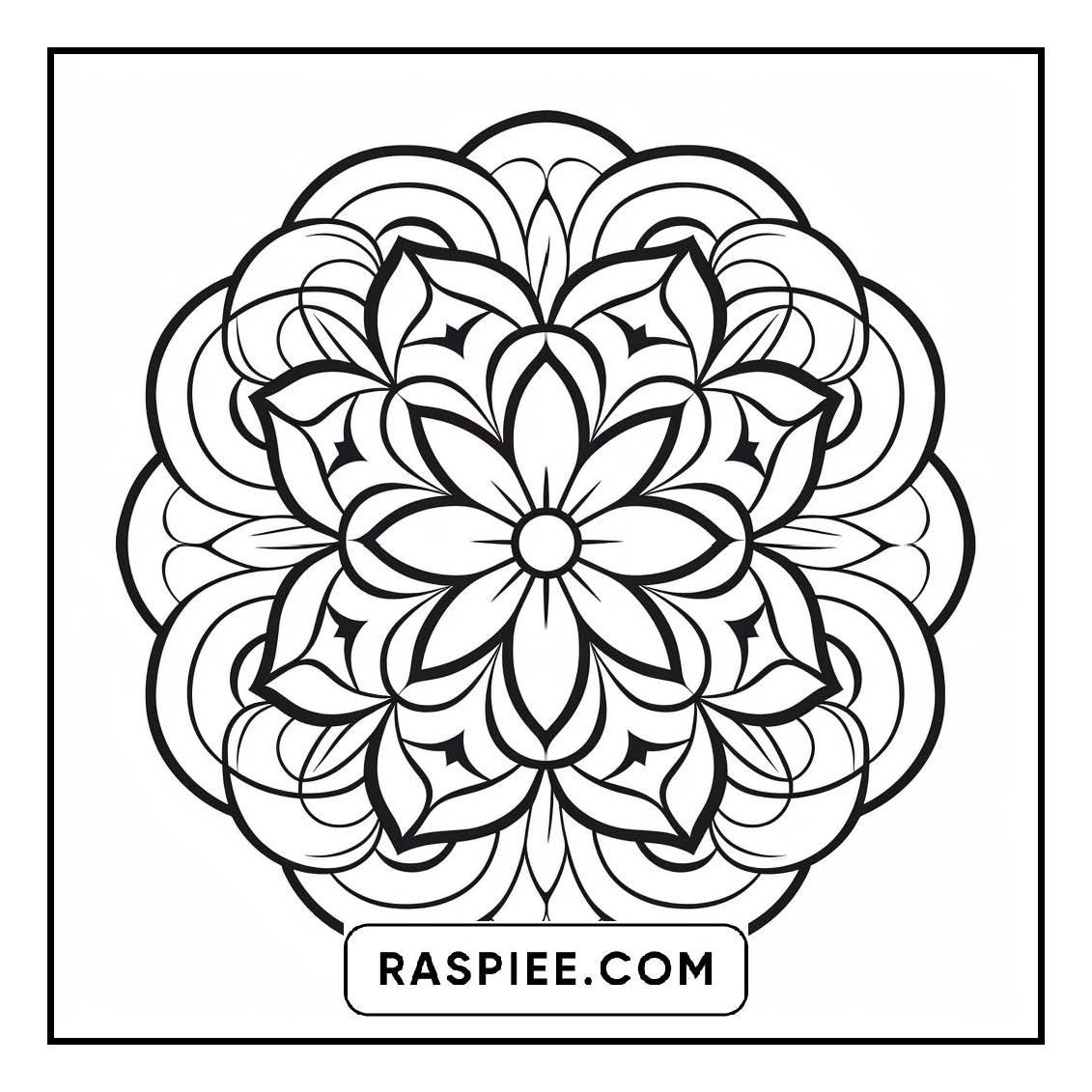 134 Bold and Easy Mandala Coloring Pages