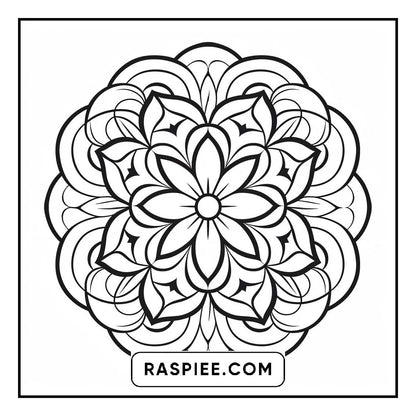 134 Bold and Easy Mandala Coloring Pages