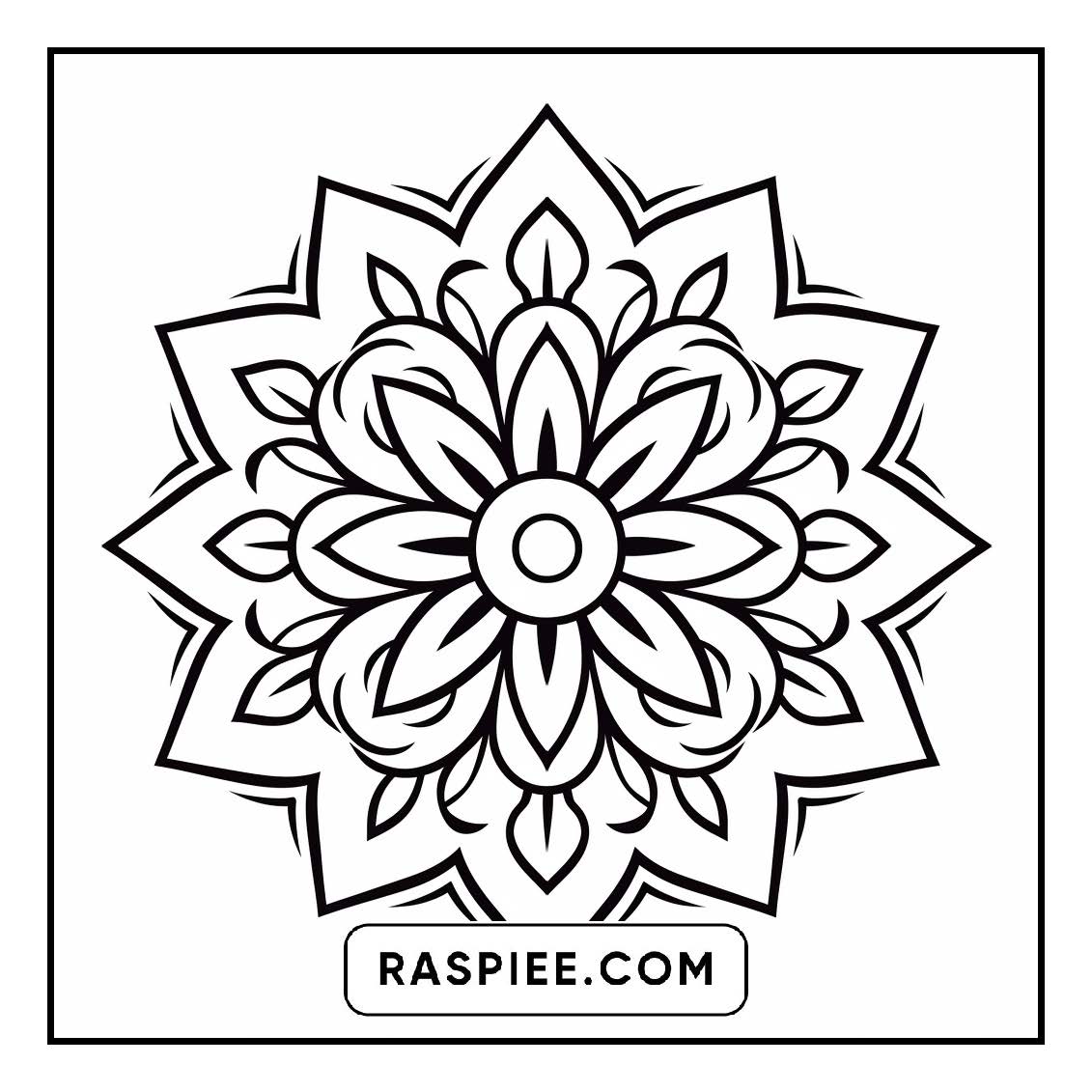 134 Bold and Easy Mandala Coloring Pages