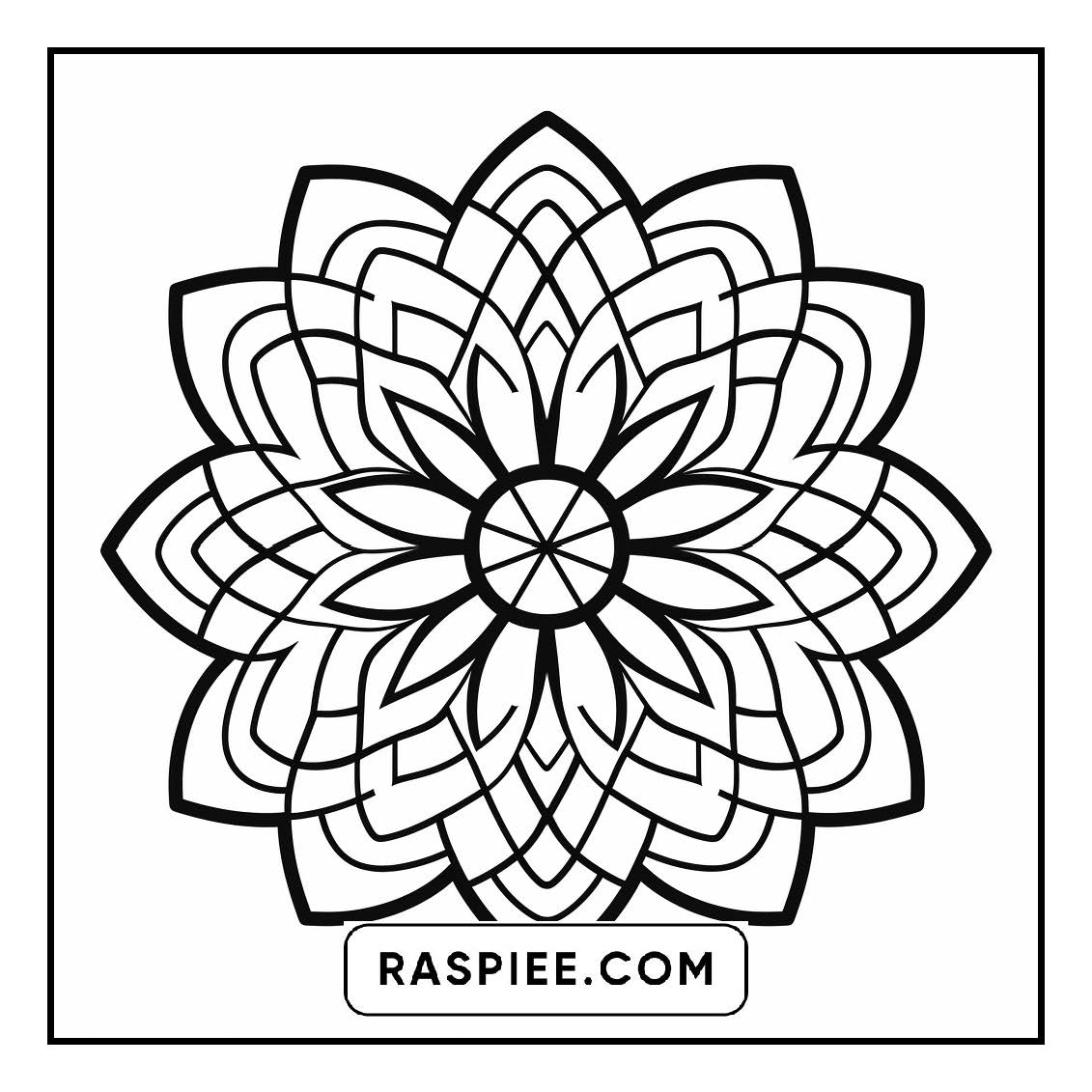 134 Bold and Easy Mandala Coloring Pages