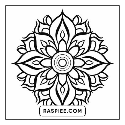 134 Bold and Easy Mandala Coloring Pages