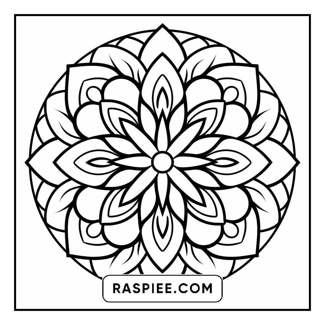 134 Bold and Easy Mandala Coloring Pages
