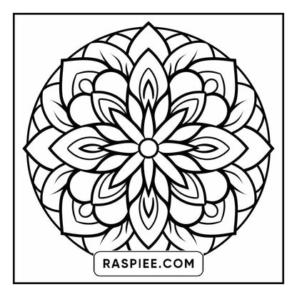 134 Bold and Easy Mandala Coloring Pages