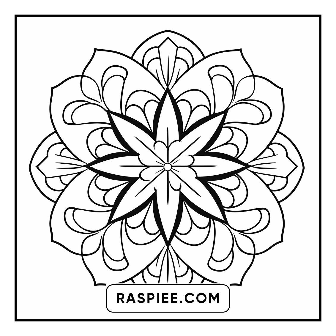 134 Bold and Easy Mandala Coloring Pages