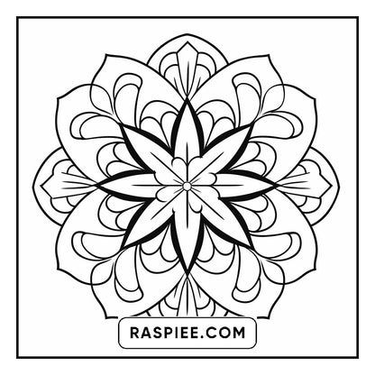 134 Bold and Easy Mandala Coloring Pages