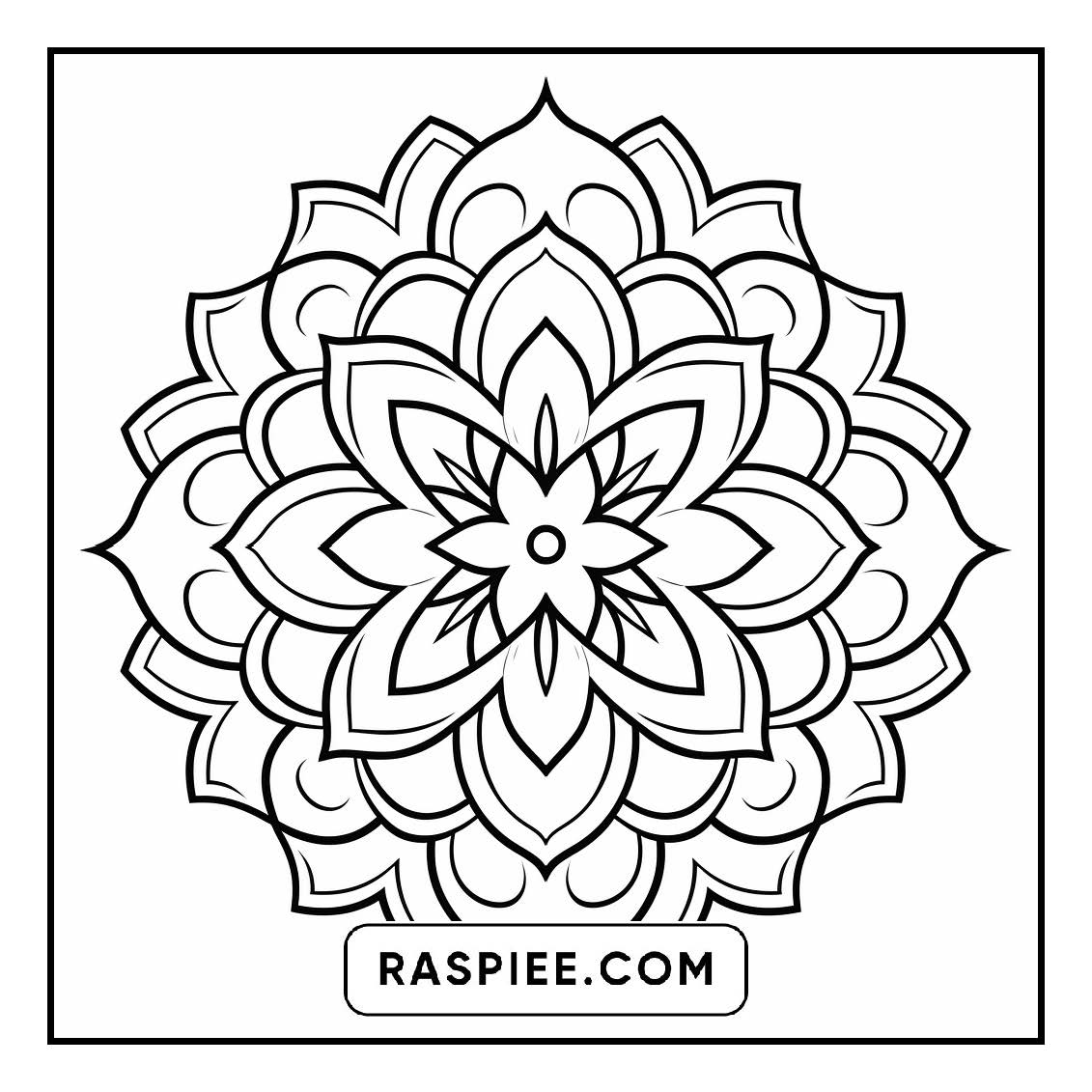 134 Bold and Easy Mandala Coloring Pages