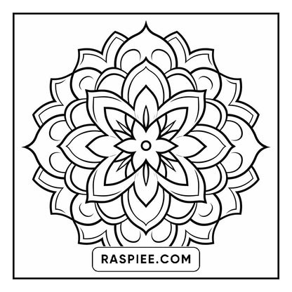 134 Bold and Easy Mandala Coloring Pages