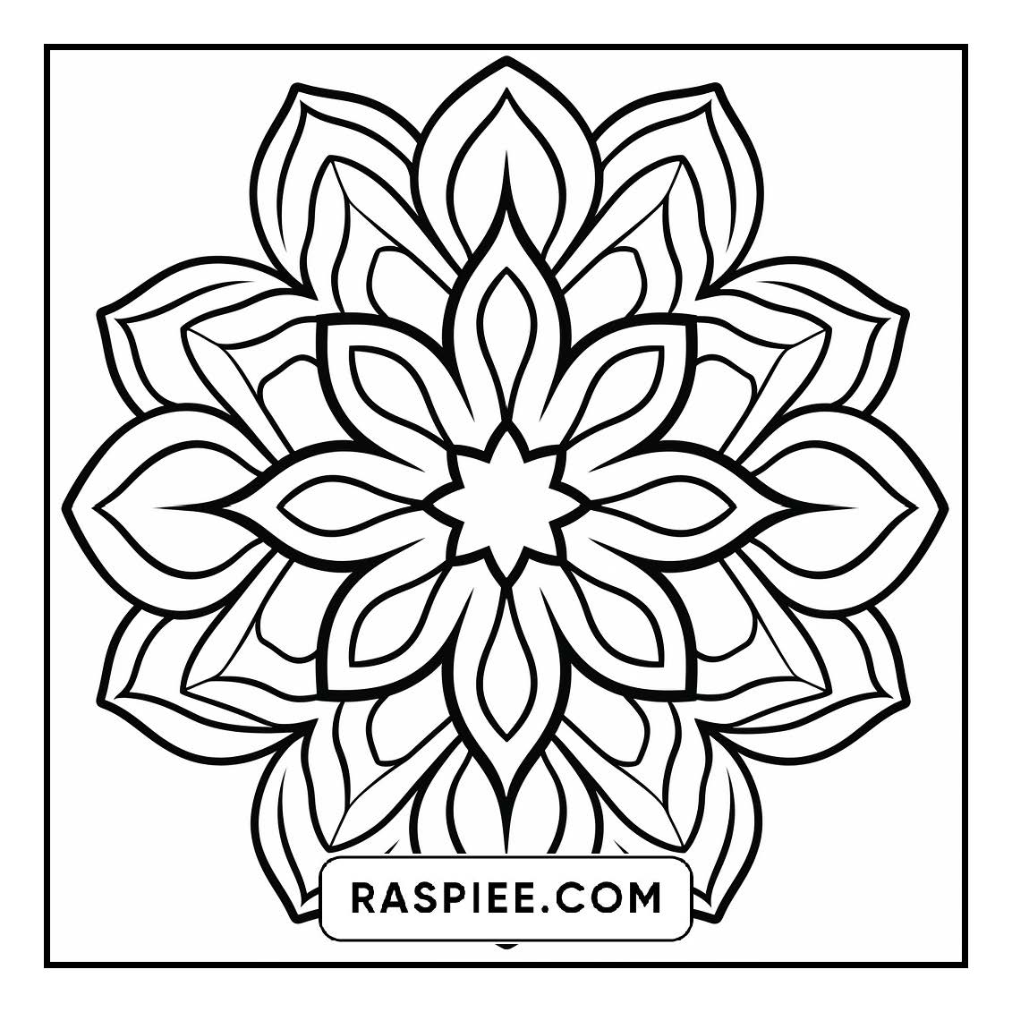 134 Bold and Easy Mandala Coloring Pages