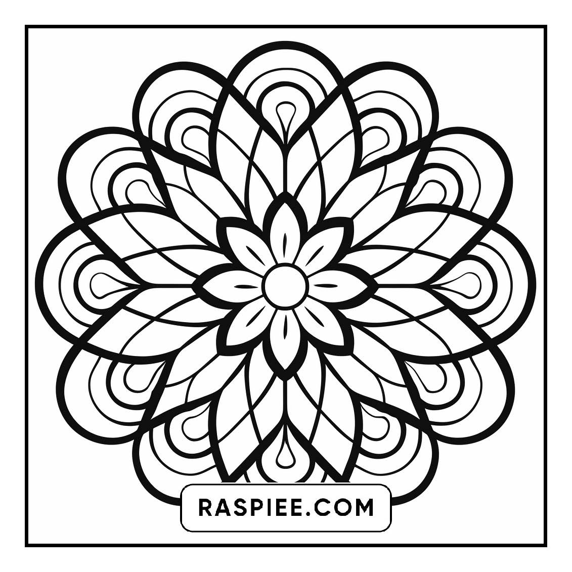134 Bold and Easy Mandala Coloring Pages