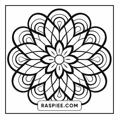 134 Bold and Easy Mandala Coloring Pages