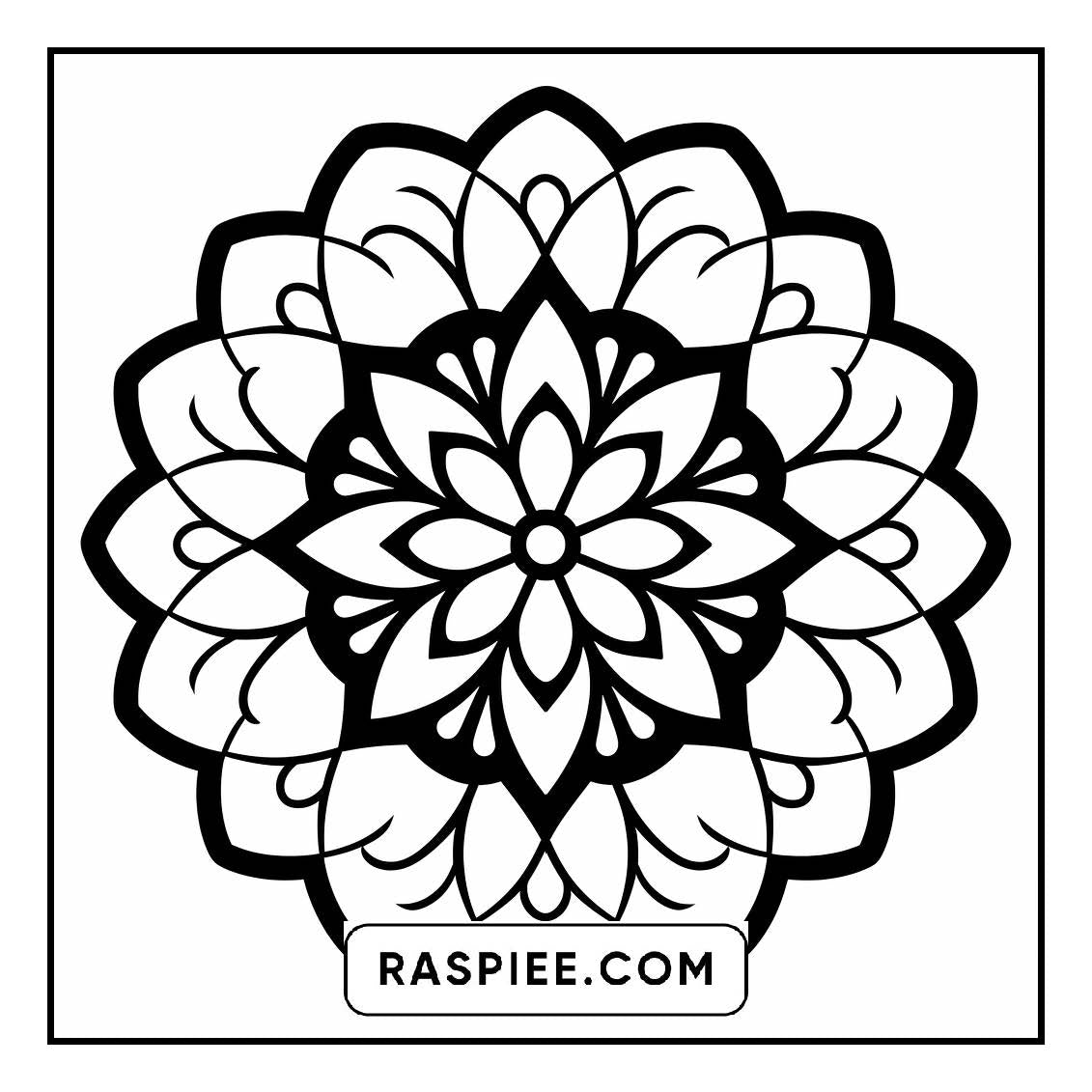 134 Bold and Easy Mandala Coloring Pages