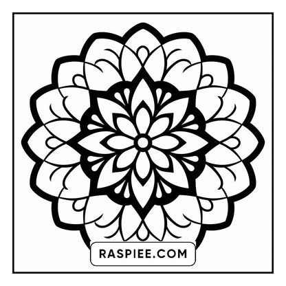 134 Bold and Easy Mandala Coloring Pages