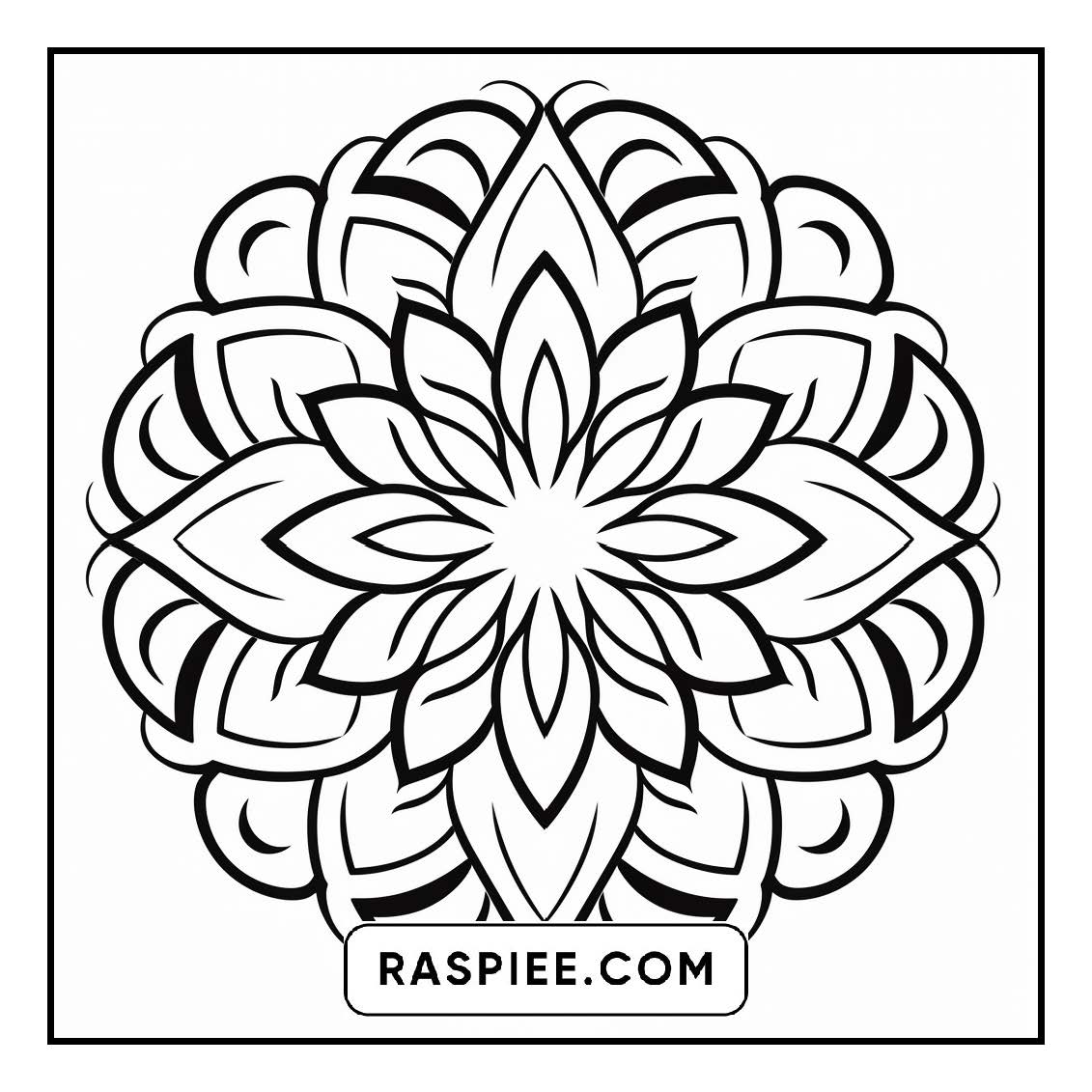 134 Bold and Easy Mandala Coloring Pages
