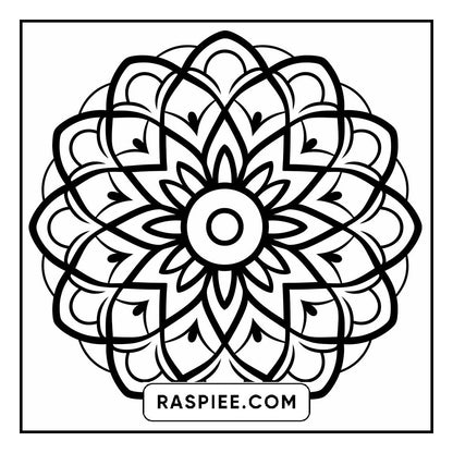 134 Bold and Easy Mandala Coloring Pages