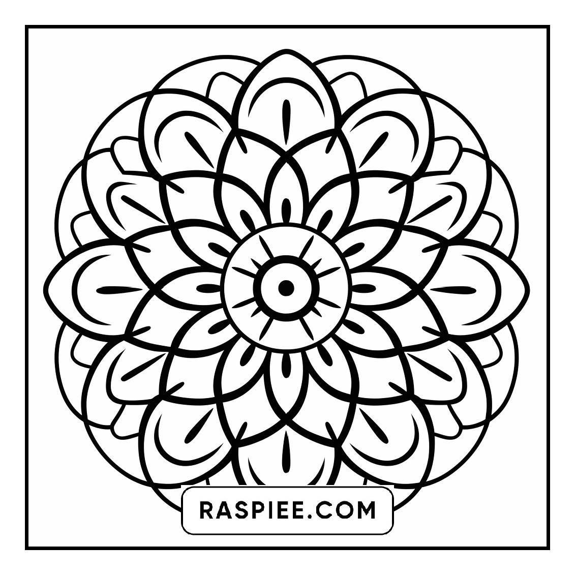 134 Bold and Easy Mandala Coloring Pages
