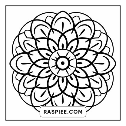 134 Bold and Easy Mandala Coloring Pages