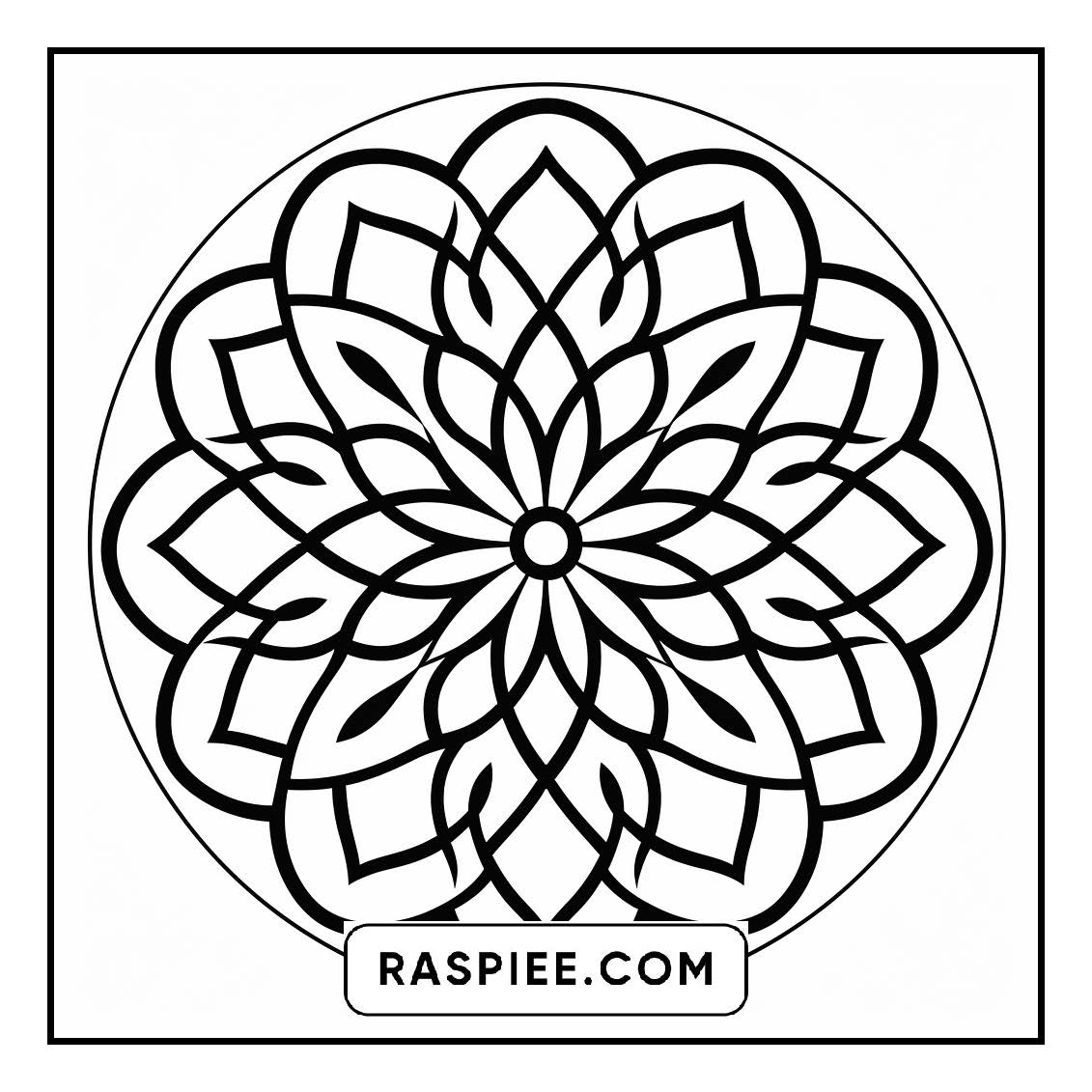 134 Bold and Easy Mandala Coloring Pages