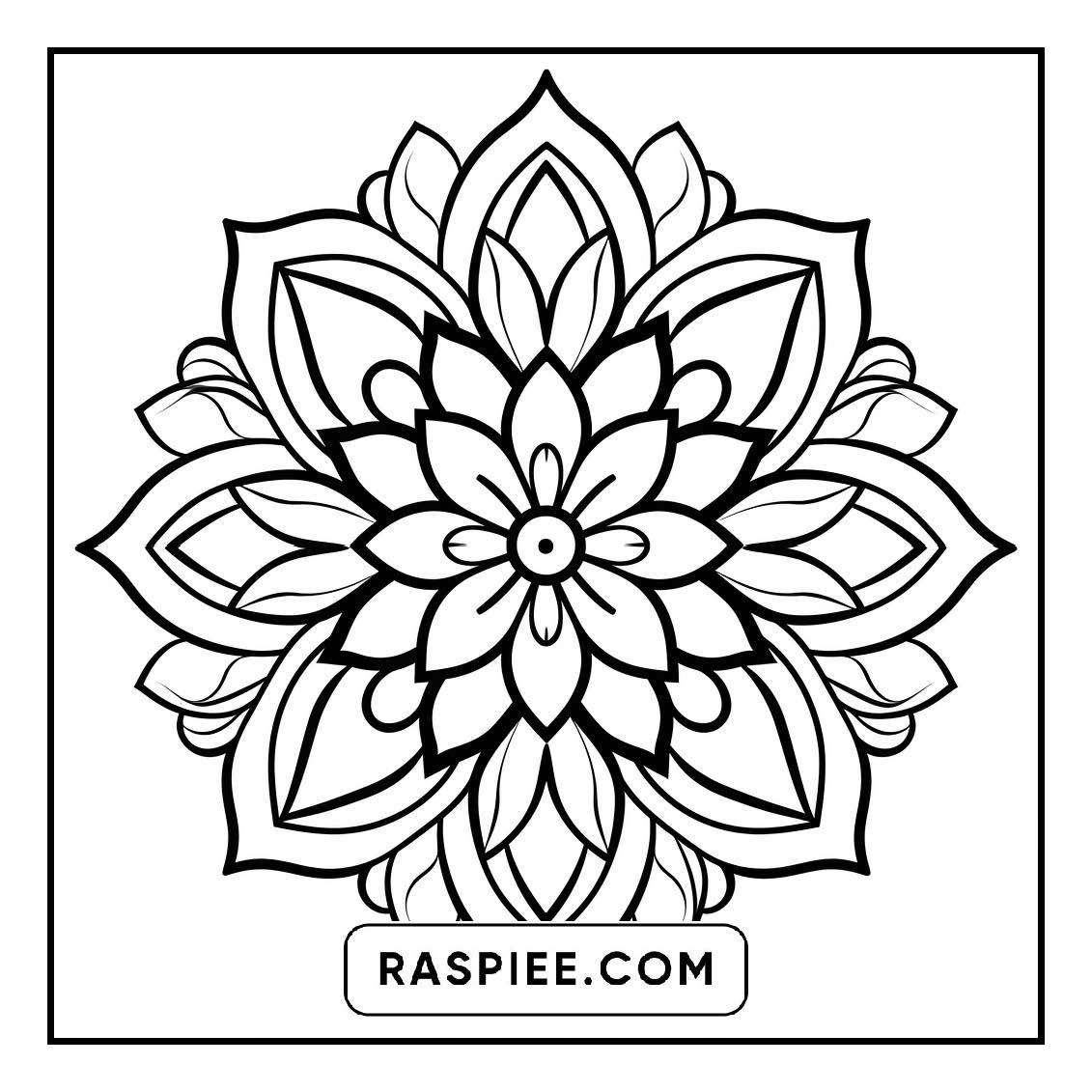 134 Bold and Easy Mandala Coloring Pages